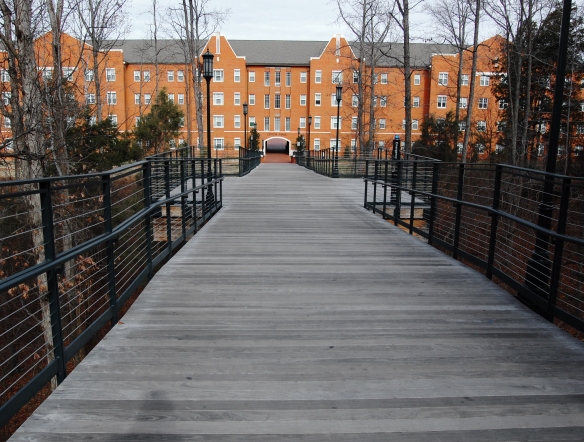 UNCC has a beautiful campus, which is one of many reasons why you should study abroad