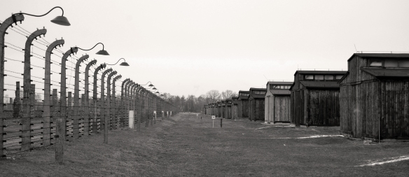 Auschwitz - Birkenau Cabins