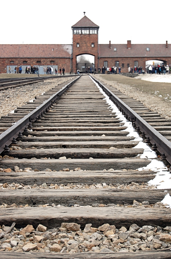 Auschwitz-Birkenau Train Track