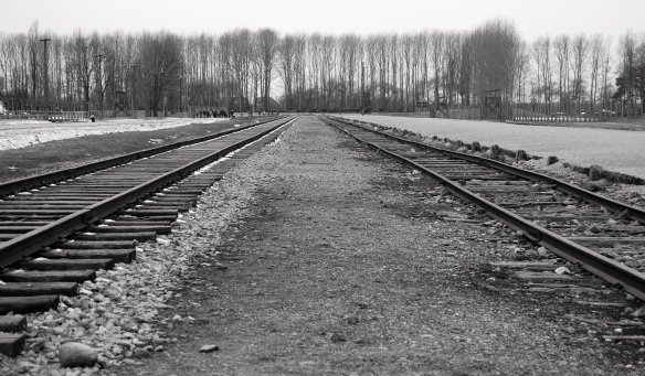 Train Track at Birkenau