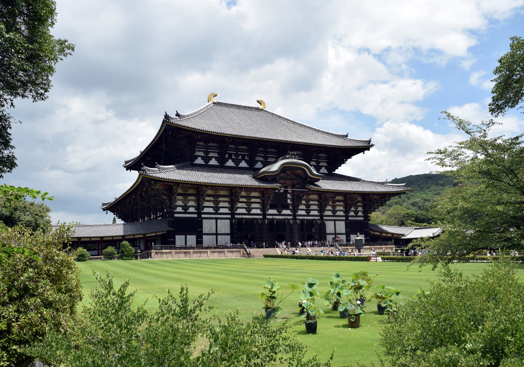 Main Temple in Nara.jpg