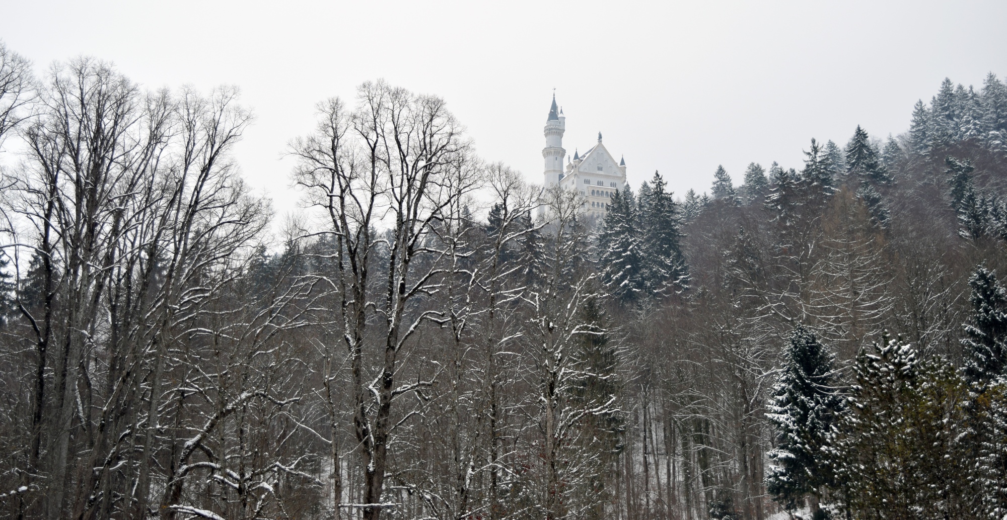One attempt at getting the best photo of Neuschwanstein Castle. This is a view with the castle peeking out of the top of trees.