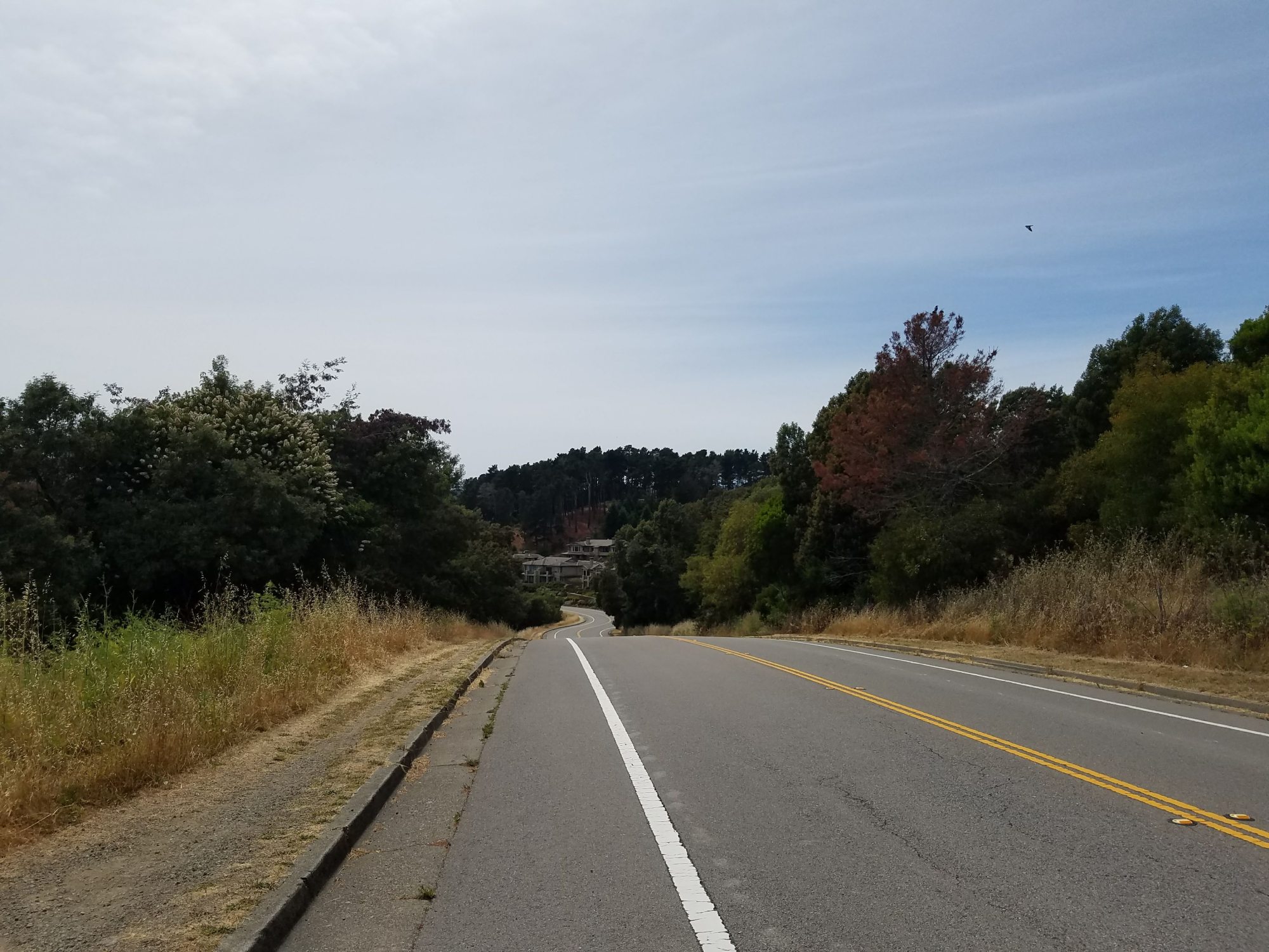 After cycling the golden gate bridge, this is part of the road from Sausalito to Tiburon.